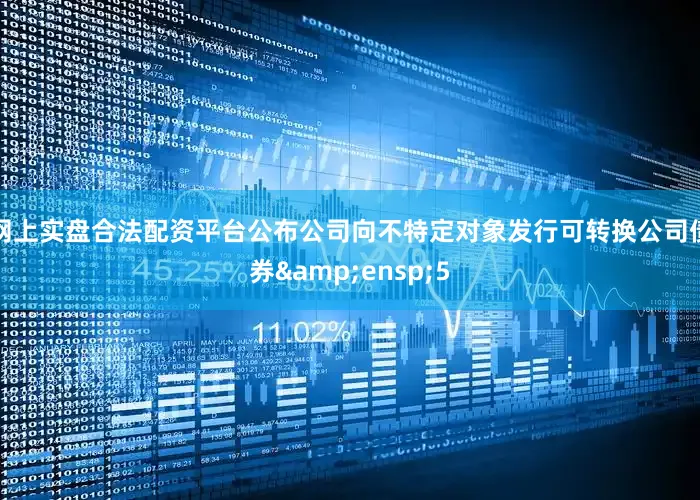 网上实盘合法配资平台公布公司向不特定对象发行可转换公司债券 5